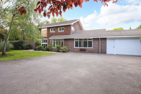 6 bedroom detached house to rent - Photo 2