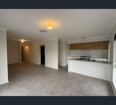 14 Leyland Cct, Lochinvar, NSW 2321 - Photo 2