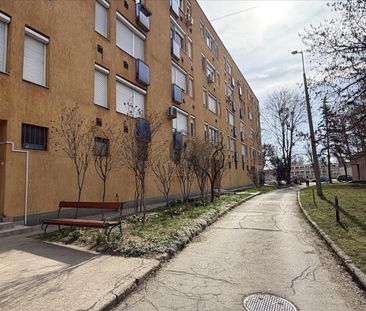 Kiadó jó állapotú lakás - Miskolc - Fotó 1