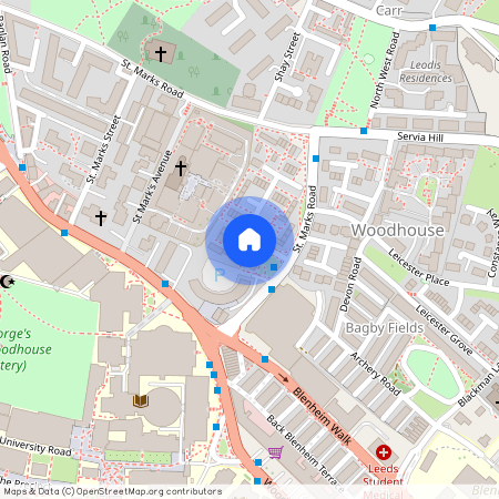 27 Blenheim View, Woodhouse LS2