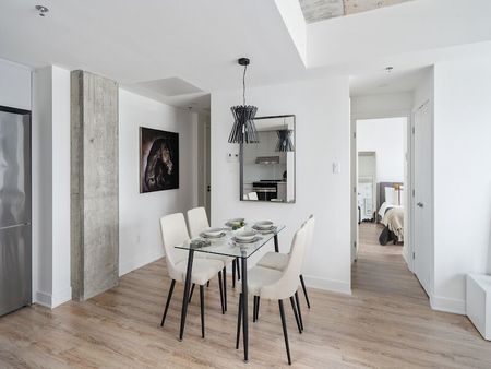 1211 rue Berri, Montréal, QC - Photo 5