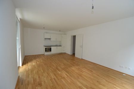 Annenviertel – 69m² – 3 Zimmer – große Terrasse – Eigengarten – ab sofort - Photo 2