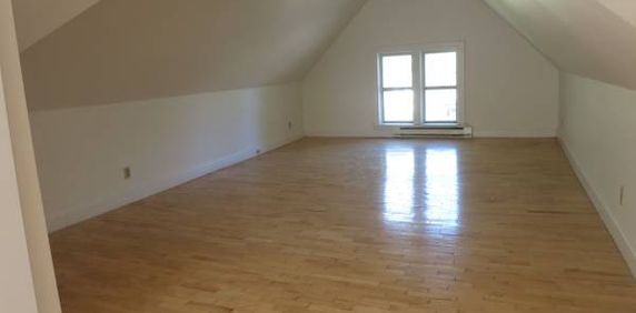 Spacious and Sunny 3.5 Bedroom Duplex - Photo 2