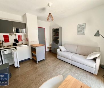 Location Appartement 1 pièce 19m² LIMONEST 69760 - Photo 4