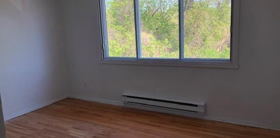 4 1/2 Alouer St.Michel - Photo 2