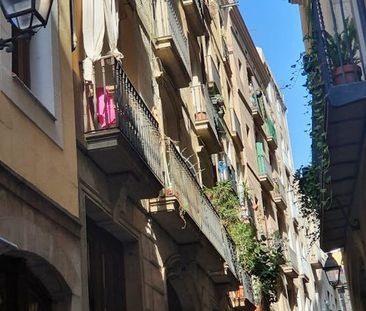 Carrer dEscudellers Blancs, Barcelona, Catalonia 08002 - Photo 4