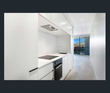 North Facing Light Filled Contemporary Ease - Photo 5