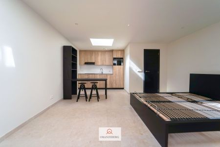 Gelijkvloers en gemeubelde studio te huur vlakbij Gent centrum - Foto 4