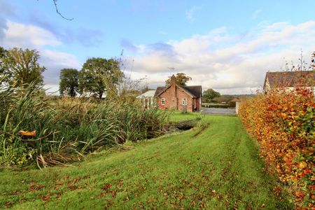 2 Bedroom Detached Bungalow To Rent - Photo 5