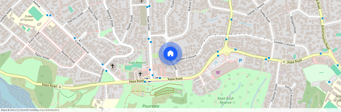 17 Kurahaupo Street, Orakei, Auckland City