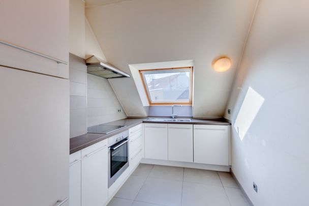 Fijn 1 slaapkamer appartement met 2 terrassen - Foto 1