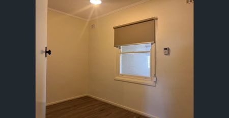 Give me a home.. - Photo 3