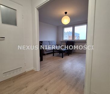 Dąbrowa Górnicza - Zdjęcie 3