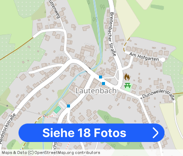 DG Wohnung in OTW-Lautenbach- frisch renoviert & energieeffizient - Foto 1