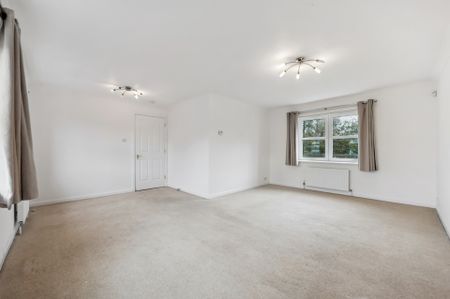 Mallots View - Photo 5