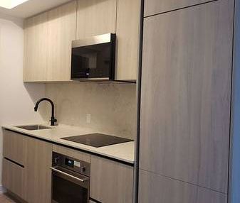 1 Bedroom, 1 Bathroom - Peter & Adelaide Condos - Photo 2