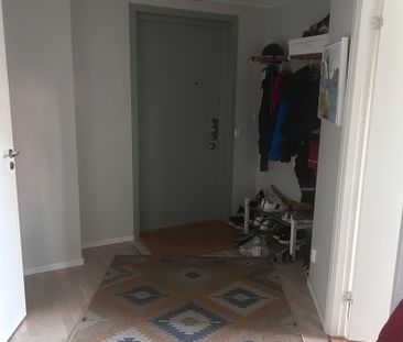 Vega Allé, Vega - Foto 4