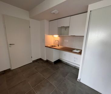 Location Appartement 2 pièces 45m² ST JORY 31790 - Photo 4