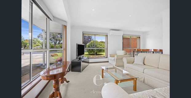 Family Comfort, Big Backyard Energy - Photo 1