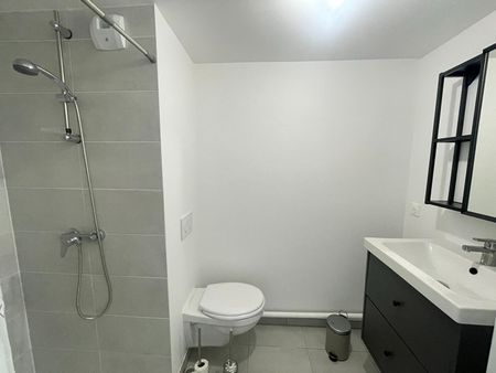 Location Appartement 1 pièce 18m² - Photo 4