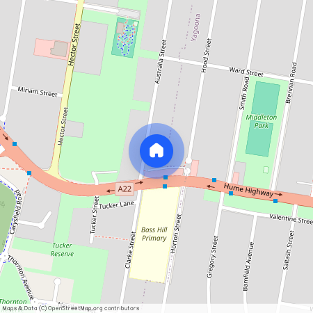 85 Australia Street, Bass Hill NSW 2197