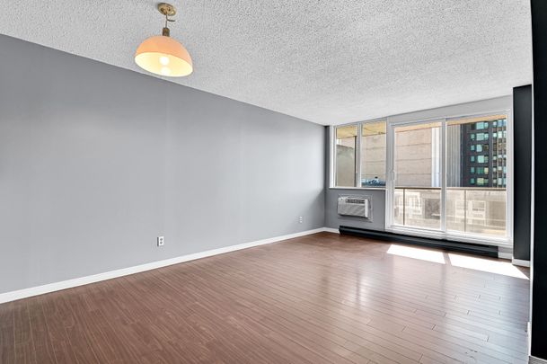 For Lease - 154 Nelson Street Unit# 501, Lower Town - Sandy Hill, Ontario - Photo 1