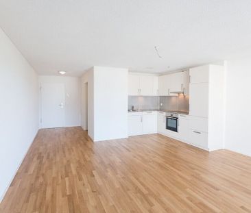 1½-Zimmerwohnung im Parterre mit Waschturm / 37,4 m2 - Photo 5