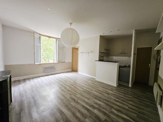 Location Appartement 1 pièce 40m² TOURS 37000 - Photo 1