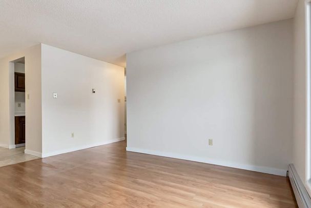 1 Bedroom - Photo 1