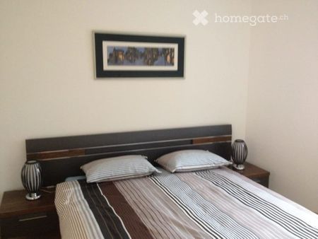 Appartement meublé/Furnished apartment - Photo 4