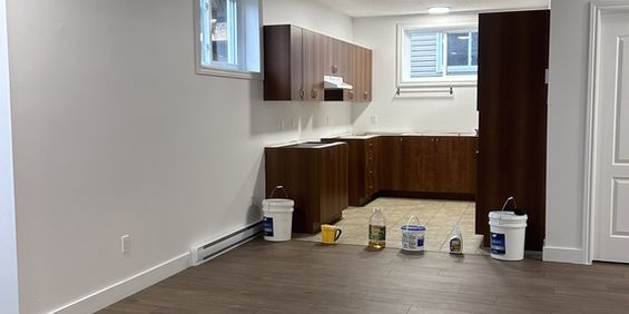 Grand 2 Chambres, Bas Duplex Gatineau - Photo 3
