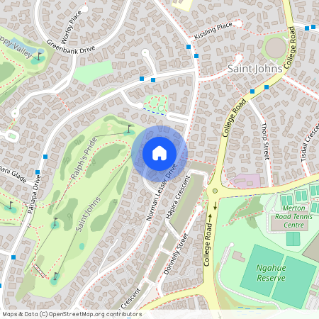 8 Isherwood Place, Saint Johns, Auckland City