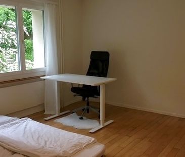 3½ Zimmer-Wohnung in Luzern, möbliert, auf Zeit - Foto 5