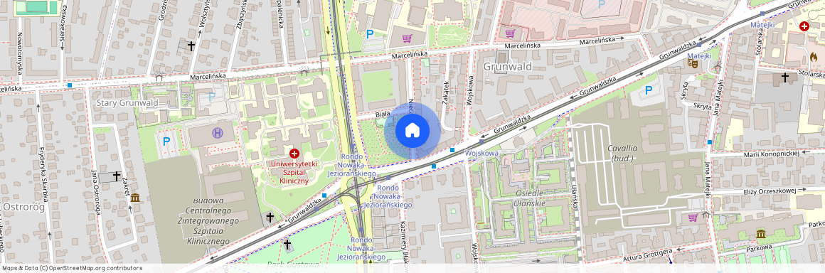 ul. Niecała, Grunwald, Grunwald, Poznań, wielkopolskie