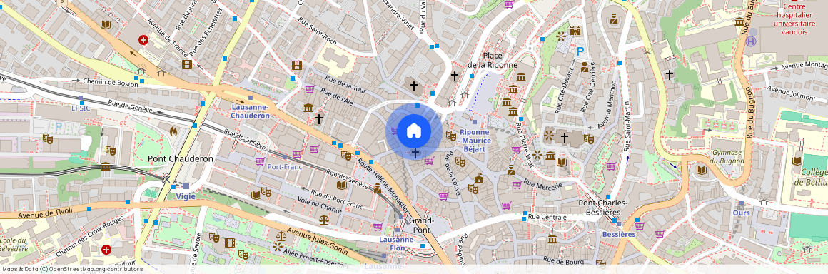 1003, Lausanne, Rue Chaucrau, 2