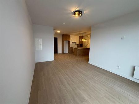 430 Boul. du Bord de l'Eau - Photo 4