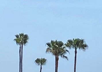 6 bedroom luxury Villa for rent in Puerto Banus, Spain