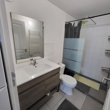 Location Appartement 1 pièce 20m² VILLENEUVE TOLOSANE 31270 - Photo 4