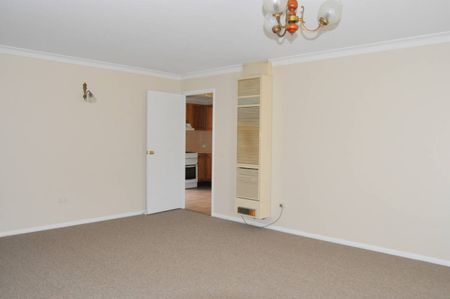 RENOVATED DELIGHT - Photo 3