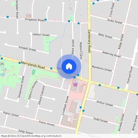 521 Merrylands Road, NSW 2160