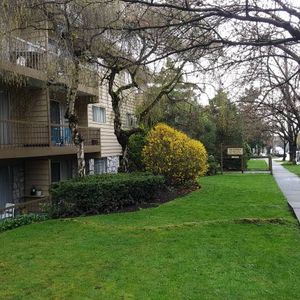 Spacious One Bed near Marpole Loop Available February 1st or later - Photo 2