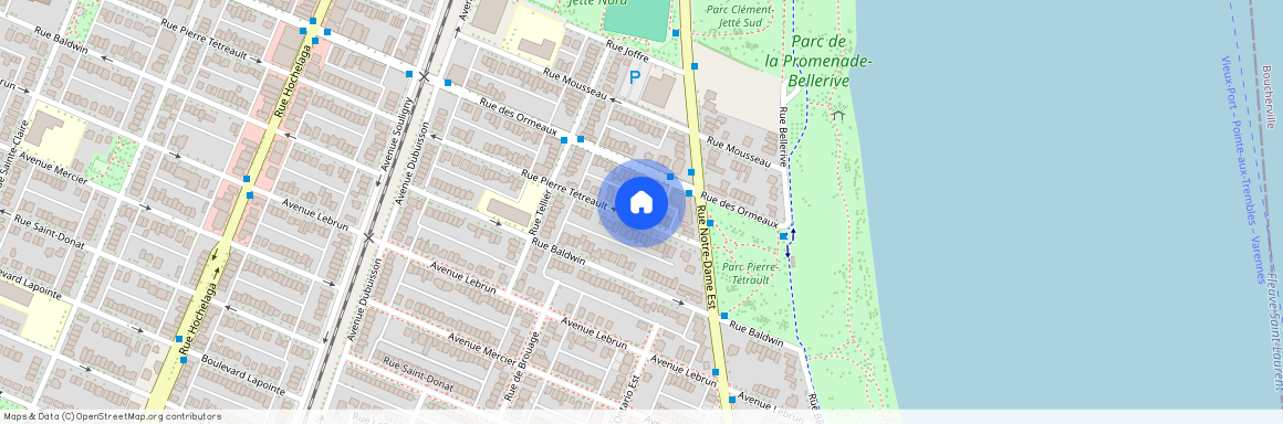 559 Rue Pierre-Tétreault H1L4Y6, Montreal