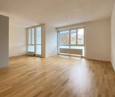 2.5 Zimmer, 58 m², EG - Foto 2