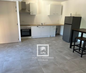 Location Appartement 1 pièce 38m² ST ESTEVE 66240 - Photo 4