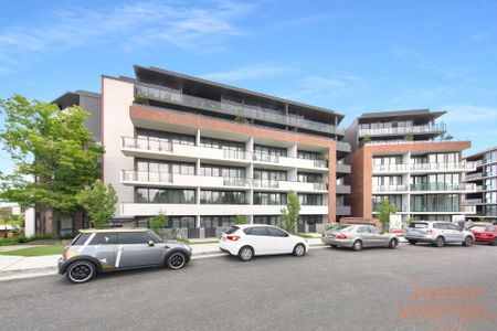 29/7 Light Street, Griffith ACT 2603 - Apartment For Rent | Domain - Photo 3