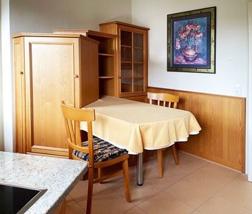 Renovierte 3-Zimmer-Wohnung mit Garage - Photo 4