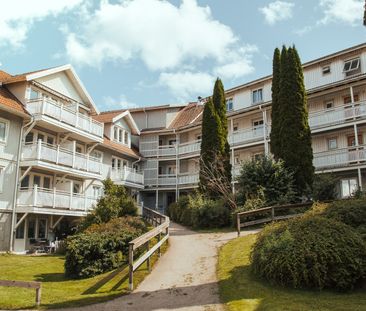 Emanuel Bagares gata 6 - Foto 3