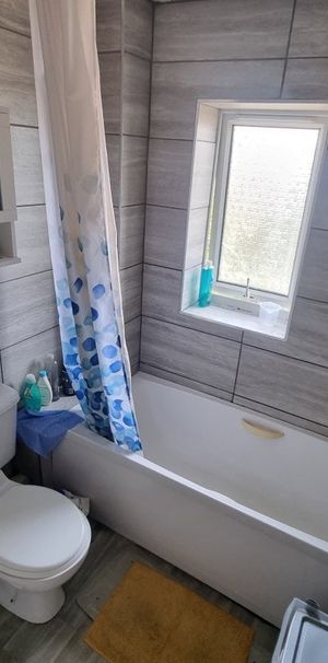 Beech Close - Photo 1