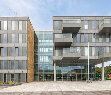 Grenenhout 8023 - Foto 6