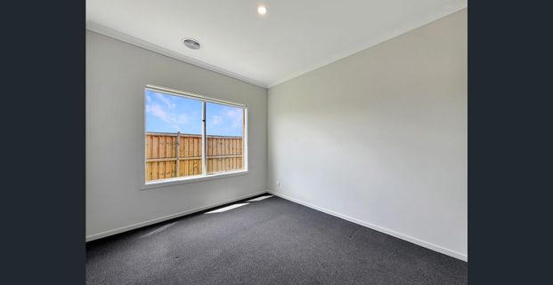 Available Now! - Photo 1